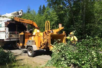 Tree Branch Chipping